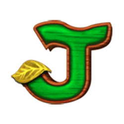 Icon 9 Husa