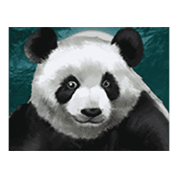 Wild Panda Pokies Wild Symbol