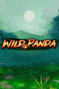 Wild Panda Free Play in Demo Mode