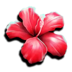 Symbol 3 Club Tropicana Happy Hour