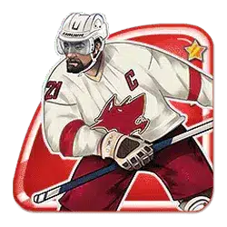 Symbol 4 Hockey League Wild Match