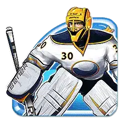 Symbol 5 Hockey League Wild Match