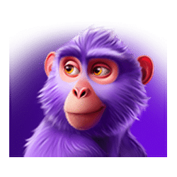 Символ4 слота Jungle Wealth Hold And Win