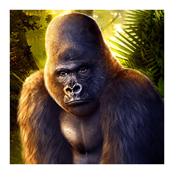 Wild-символ игрового автомата Kong’s Temple