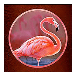 Icon 5 Savanna Stampede