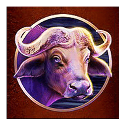 Icon 2 Savanna Stampede