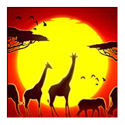 Scatter of Savanna Stampede Slot