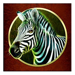 Icon 3 Savanna Stampede