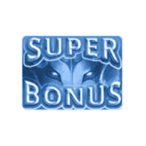 Super Bonus image