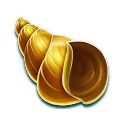 Icon 5 Big Snapper