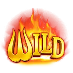 Wild Symbol of Burning Coins 20 Slot