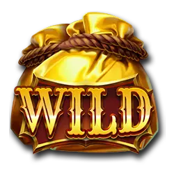 Coin Bang Bang: Hold & Win Pokies Wild Symbol