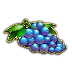 Symbol 8 Double Joker
