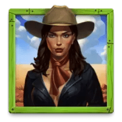 Icon 1 Wild Shooter