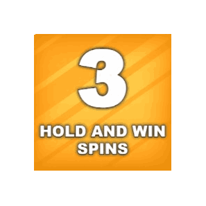 HOLD AND WIN SPINS image