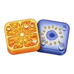 Icon 3 Jumbo Juicy