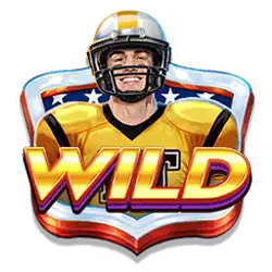 Wild Symbol of Touchdown Cash Slot