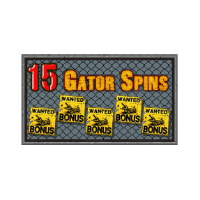 15 Gator Spins image