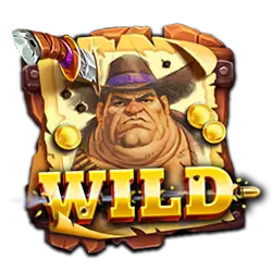 Символ Wild