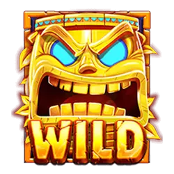Wild символ