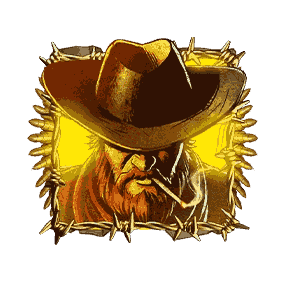 Super Free Spins  image
