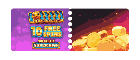 10 Free Spins image