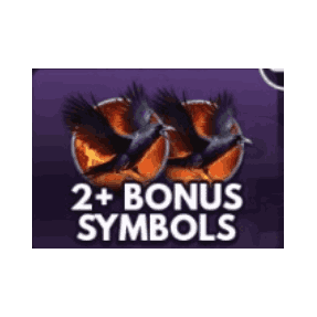 2+ BONUS SYMBOLS image
