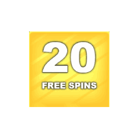 20 Free Spins image