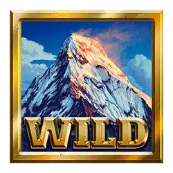 Символ Wild