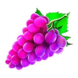 Icon 3 Cash’n Fruits 256
