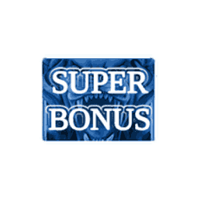 SUPER BONUS image