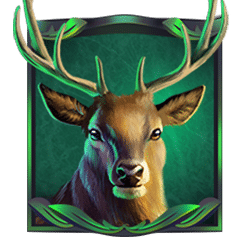 Scatter of Forest Spell Slot