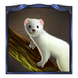 Icon 5 Forest Spell