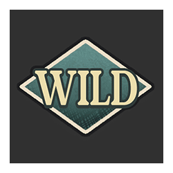 Wild Symbol of Retro Diamond Classical Slot