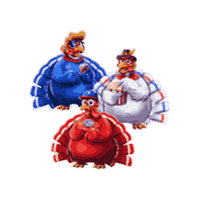 All Turkeys image