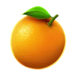 Symbol 5 Cash’n Fruits 243 X