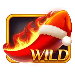 Символ Wild
