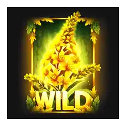 Wild Symbol of MultiFly 2 Slot