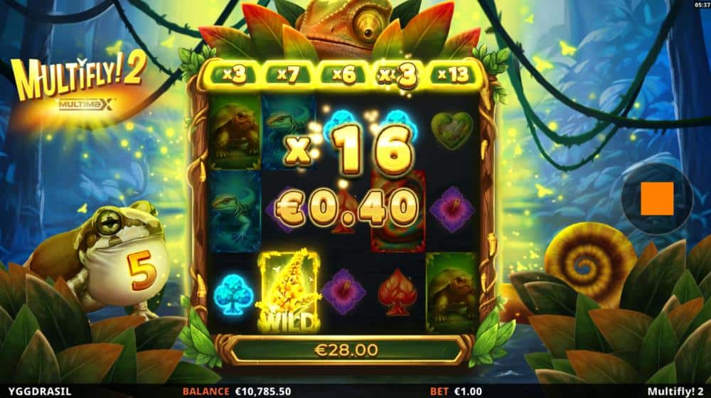 Multifly 2 slot features