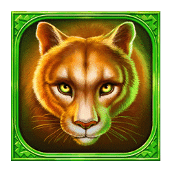 Symbol 3 Mustang Hold and Win