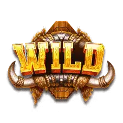 Символ Wild