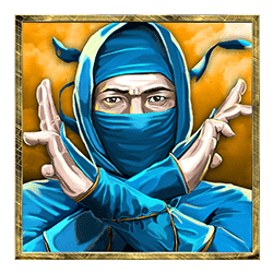 Icon 1 Ninja