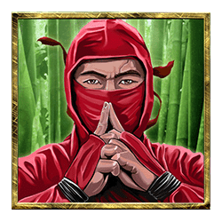 Icon 2 Ninja
