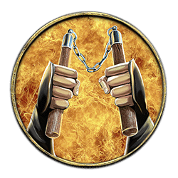 Icon 4 Ninja