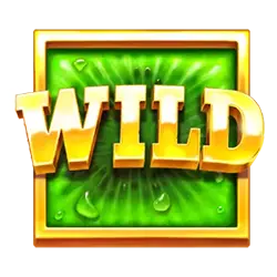 Символ Wild