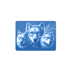 CALL OF THE WILD image