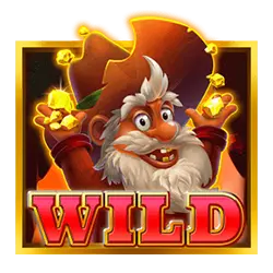 Символ Wild