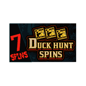 Duck Hunt Spins image