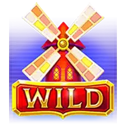 Символ Wild