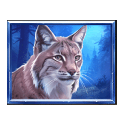 Icon 4 WolfWood PrizeTower
